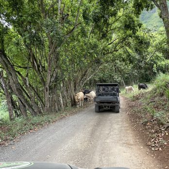 Kualoa Ranch - Tours Near Me - Kaneohe, Hawaii Kualoa Ranch - Tours Near Me - Kaneohe, Hawaii
