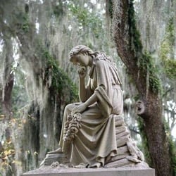 Savannah