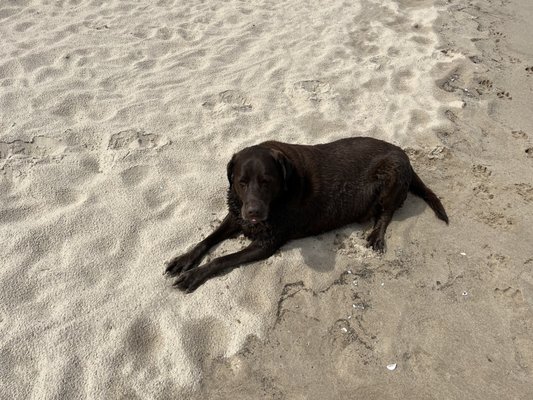 Friends of Negwegon State Park by null
