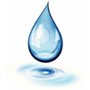 Photo of Coast Water Well Service