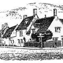 Hare and Hounds - Drawing