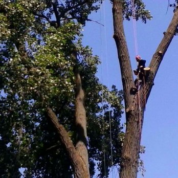 Romans Tree Service - Tree Services Near Me Romans Tree Service - Tree Services Near Me