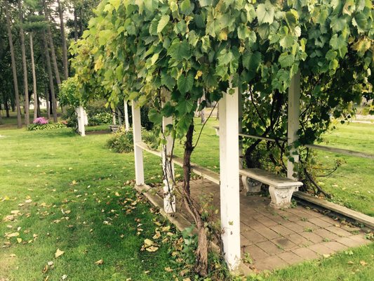 Linden Hill Historic Estate by null