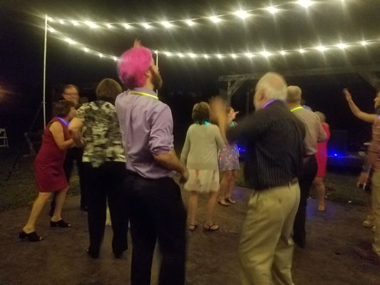 Savannah's Meadow by null