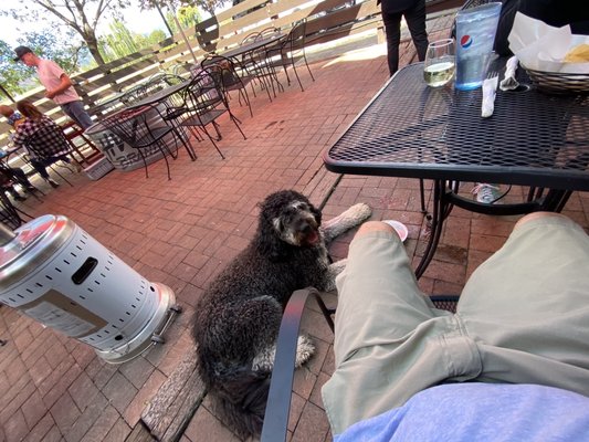 Carlos & Harley's Fresh-Mex and Bar by null