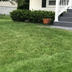 Brennan Landscaping - This is my front lawn!