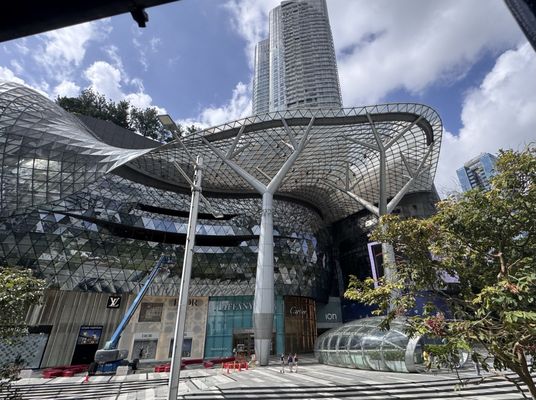 ION Orchard by null