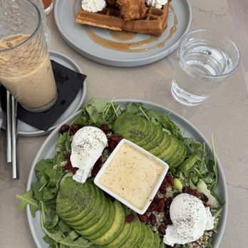 House of Brunch - Fit Bowl & Waffle & Chicken - Breakfast & Brunch Near Me - Spokane, Washington House of Brunch - Fit Bowl & Waffle & Chicken - Breakfast & Brunch Near Me - Spokane, Washington