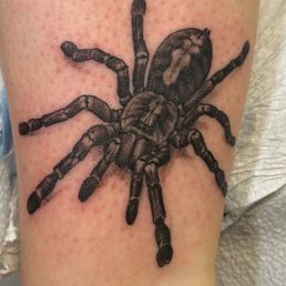 Freshly done Freshly done