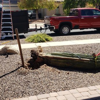Metal Tree Service - Chopping up our Saguaro and hauling off. - Tree Services Near Me
