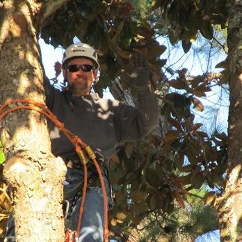 Black Bear Tree Service - Tree Services Near Me - Clayton, North Carolina Black Bear Tree Service - Tree Services Near Me - Clayton, North Carolina