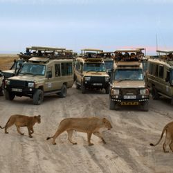 Cruise Center World Travel - Tauck Safari-Kenya & Tanzania
