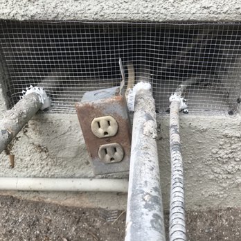 Rodent Resolution Services - The corrected version. - Wildlife Control Near Me Rodent Resolution Services - The corrected version. - Wildlife Control Near Me