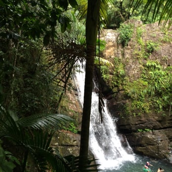 El Yunque Rainforest - Hiking Near Me - Luquillo, Puerto Rico