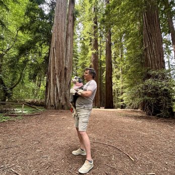 Benbow KOA - Avenue of the Giants. - Campgrounds Near Me - Garberville, California