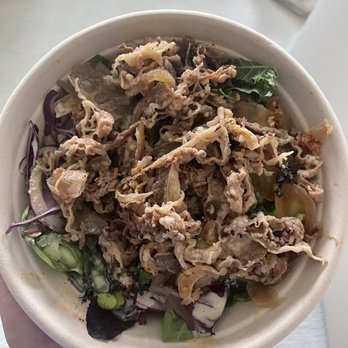 Poki DC - Sukiyaki Beef Bowl (Gyudon) - what I actually received - a stringy disgusting mess - Poke Near Me - Bethesda, Maryland Poki DC - Sukiyaki Beef Bowl (Gyudon) - what I actually received - a stringy disgusting mess - Poke Near Me - Bethesda, Maryland