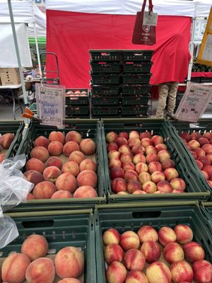 KASHIWASE FARMS - Updated December 2025 - 18 Photos & 12 Reviews