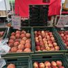 Kashiwase Farms gift card