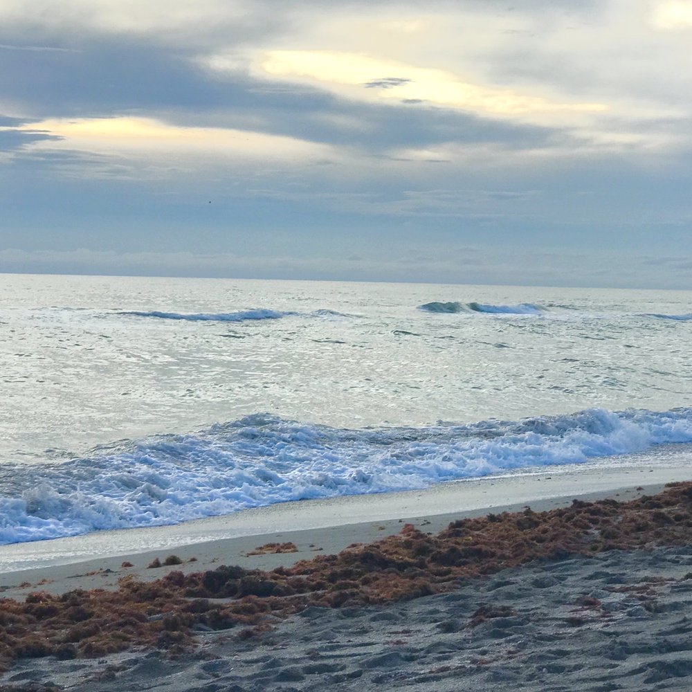 Turtle Beach - Lots of seaweed - also when you enter the water. At least it was not stinky. - Beaches Near Me