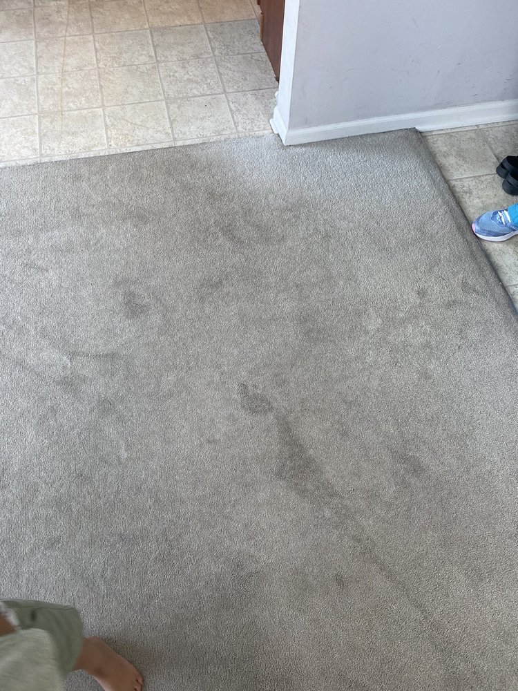 ROYAL TREATMENT CARPET AND UPHOLSTERY CLEANING Updated August 2024