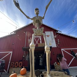 TwiningVine Winery - Halloween Harvest Event