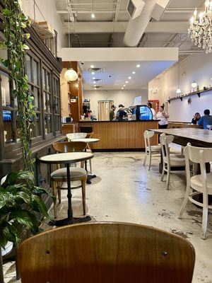 Blkdog Coffee by null
