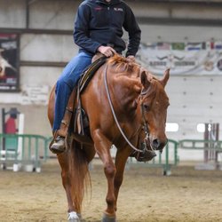 North Jersey Equestrian Center