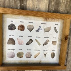 Fog Willow Farms - Fossil