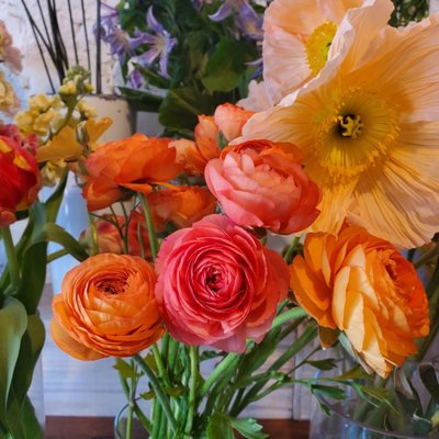 Hops Petunia Floral by null