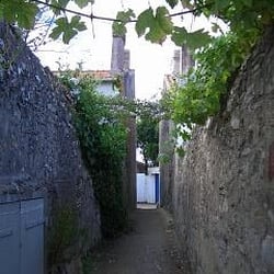 Venelle des trois ivrognes - Pas bien large, en effet !