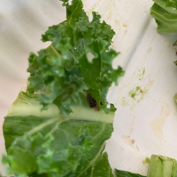 Aloha Salads - Salad Near Me - Aiea, Hawaii