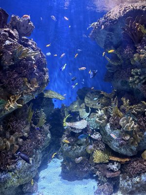 L’Aquàrium de Barcelona by null
