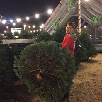 Snowy Pines Christmas Trees - Rob getting our tree.  Ask for Rob. - Christmas Trees Near Me - Long Beach, California
