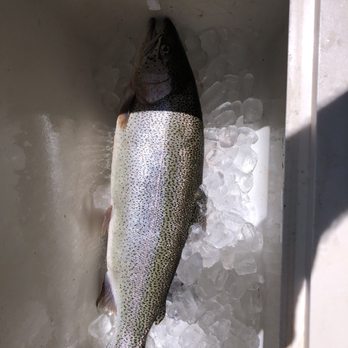 Fish Big Bear Charter Service - Fishing Near Me - Big Bear Lake, California