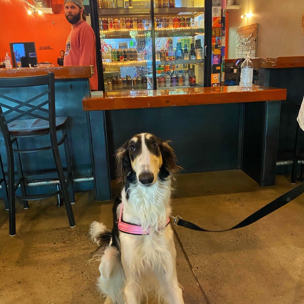 Super doggo friendly! Super doggo friendly!