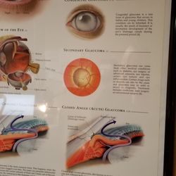 Lakeside Ophthalmology Center