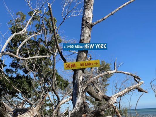 Sandspur Beach by null