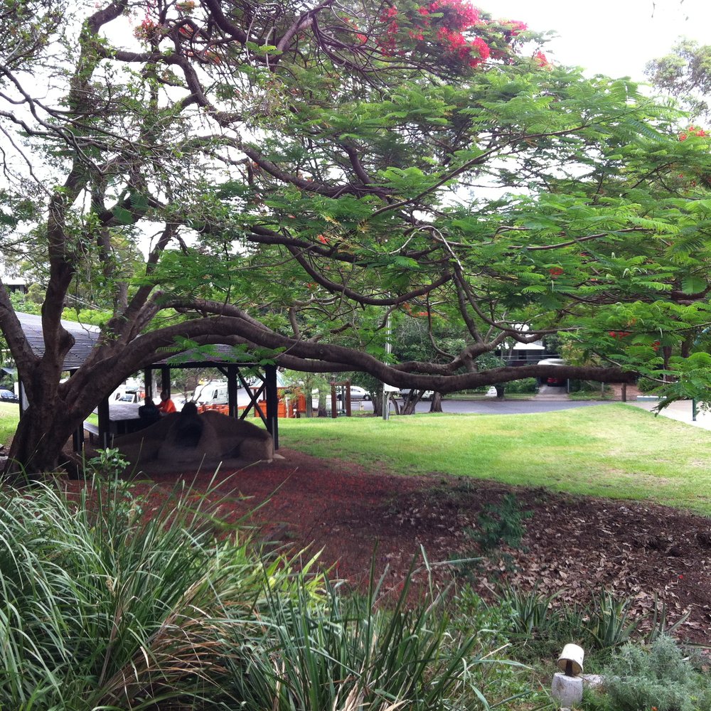 Lyons Playground - Shelter housing the pizza oven, barbecue and seating. - Playgrounds Near Me - Highgate Hill, QLD