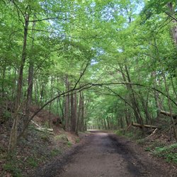 Red Mountain Park