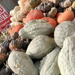 Lil Brian's Produce Market - Gourds