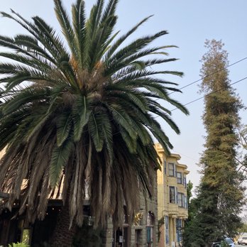 Port Costa - Trees in Port Costa - Public Services & Government Near Me Port Costa - Trees in Port Costa - Public Services & Government Near Me