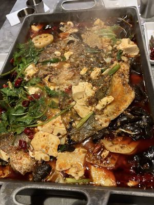 Hot Space Brooklyn by null