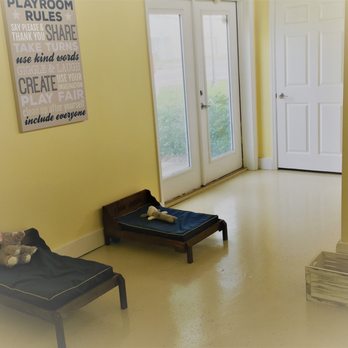 Four Paws Boarding and Pet Salon - Pet Sitting Near Me - Destin, Florida Four Paws Boarding and Pet Salon - Pet Sitting Near Me - Destin, Florida
