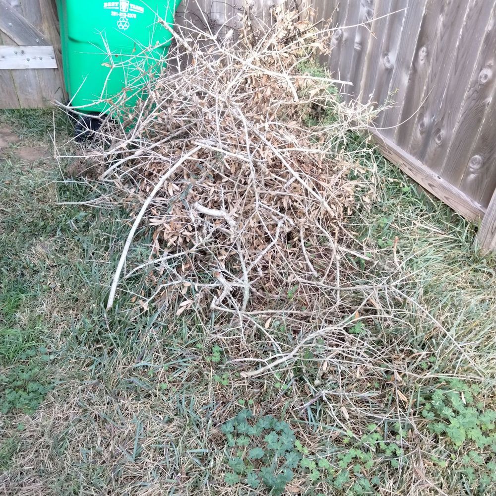 Lone Star Lawn Services - a pile of twigs in a yard - Lawn Services Near Me Lone Star Lawn Services - a pile of twigs in a yard - Lawn Services Near Me