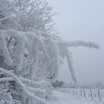 Eichkogel - Hiking Near Me - Mödling, 3