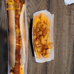 The absolute worst attempt at a chili cheese hotdog and fries. It's missing most of the chili and cheese.