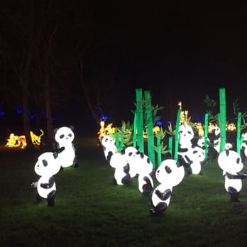 Magical Lantern Festival - Festivals Near Me - London, XGL