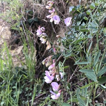 Partington Cove - Hiking Near Me - Big Sur, California