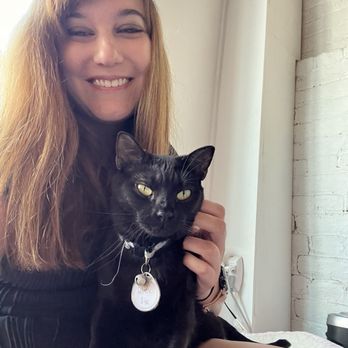 Pounce Cat Cafe - Pet Adoption Near Me - Charleston, South Carolina