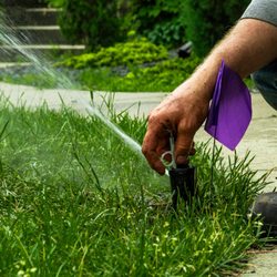 Minnesota Irrigation